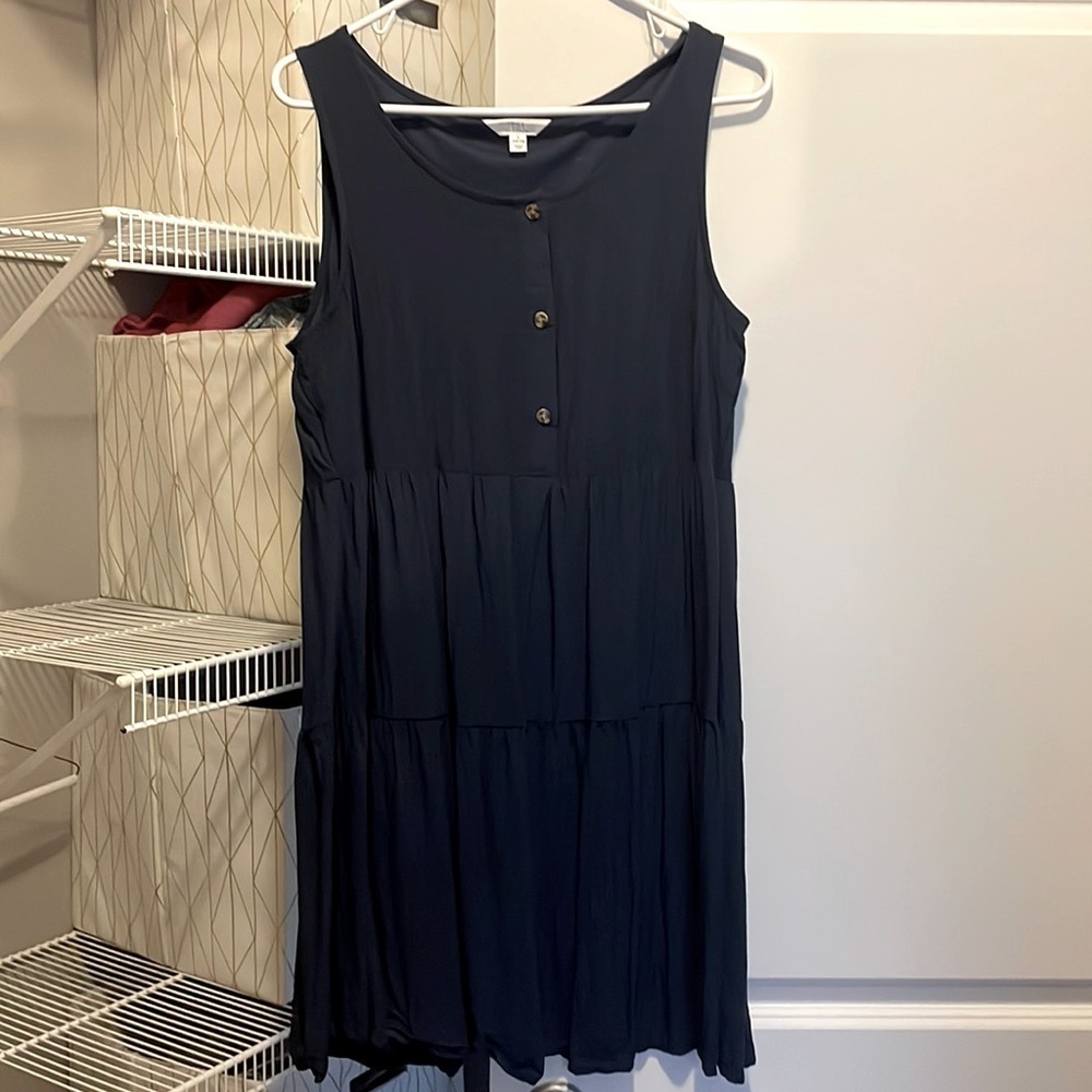 Navy Time and Tru Swing Dress